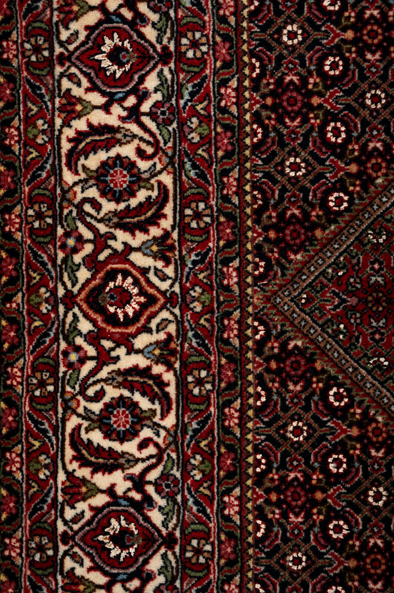 IVY 1  Bidjar 225x157cm