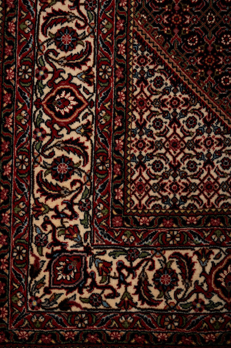 IVY 1  Bidjar 225x157cm