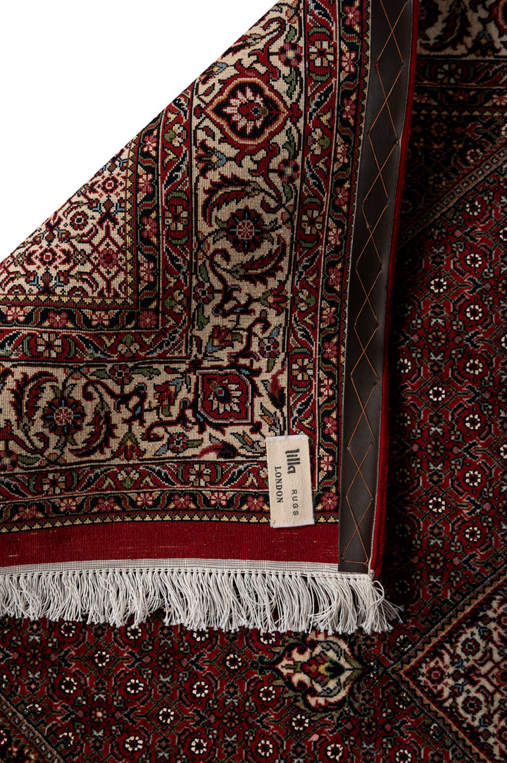 IVY 1  Bidjar 225x157cm