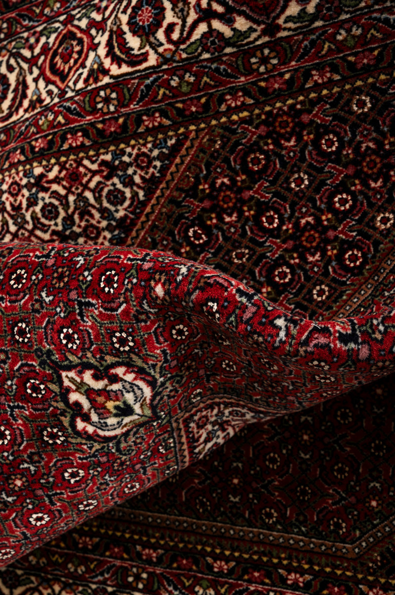 IVY 1  Bidjar 225x157cm