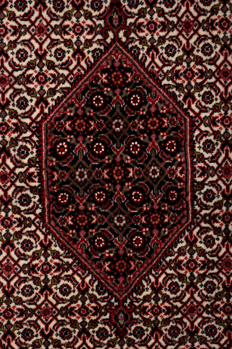 IVY 2  Bidjar 225x154cm