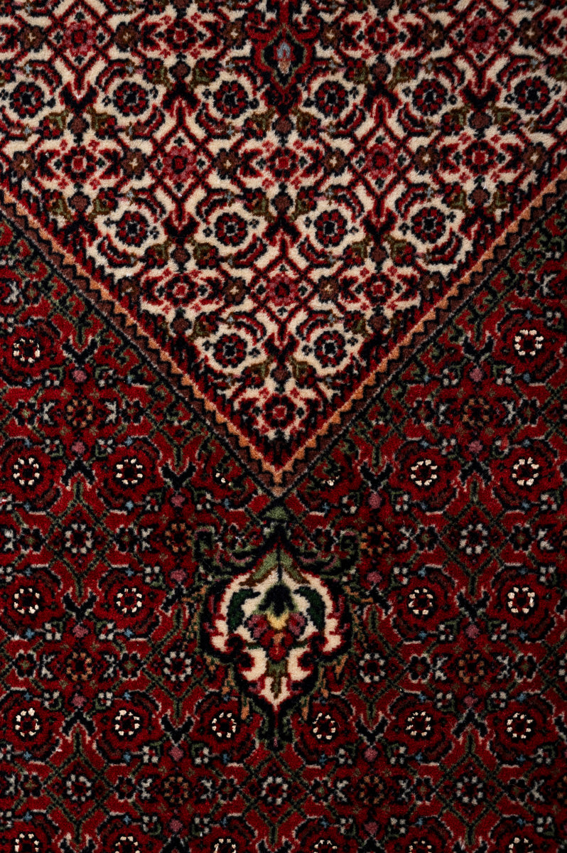 IVY 2  Bidjar 225x154cm