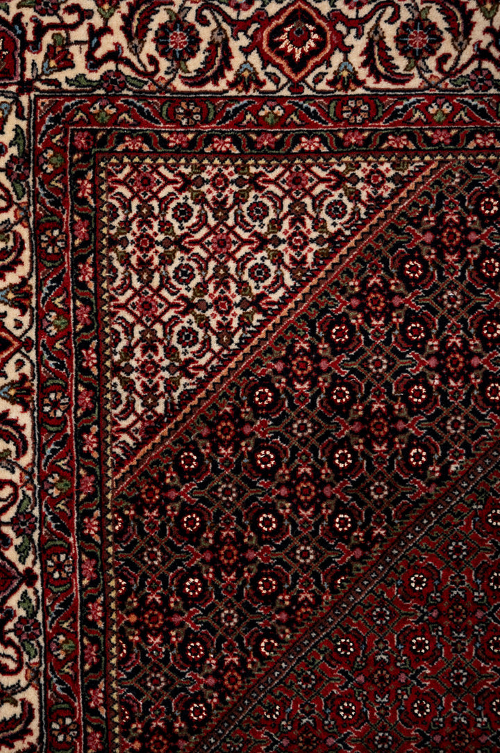 IVY 2  Bidjar 225x154cm