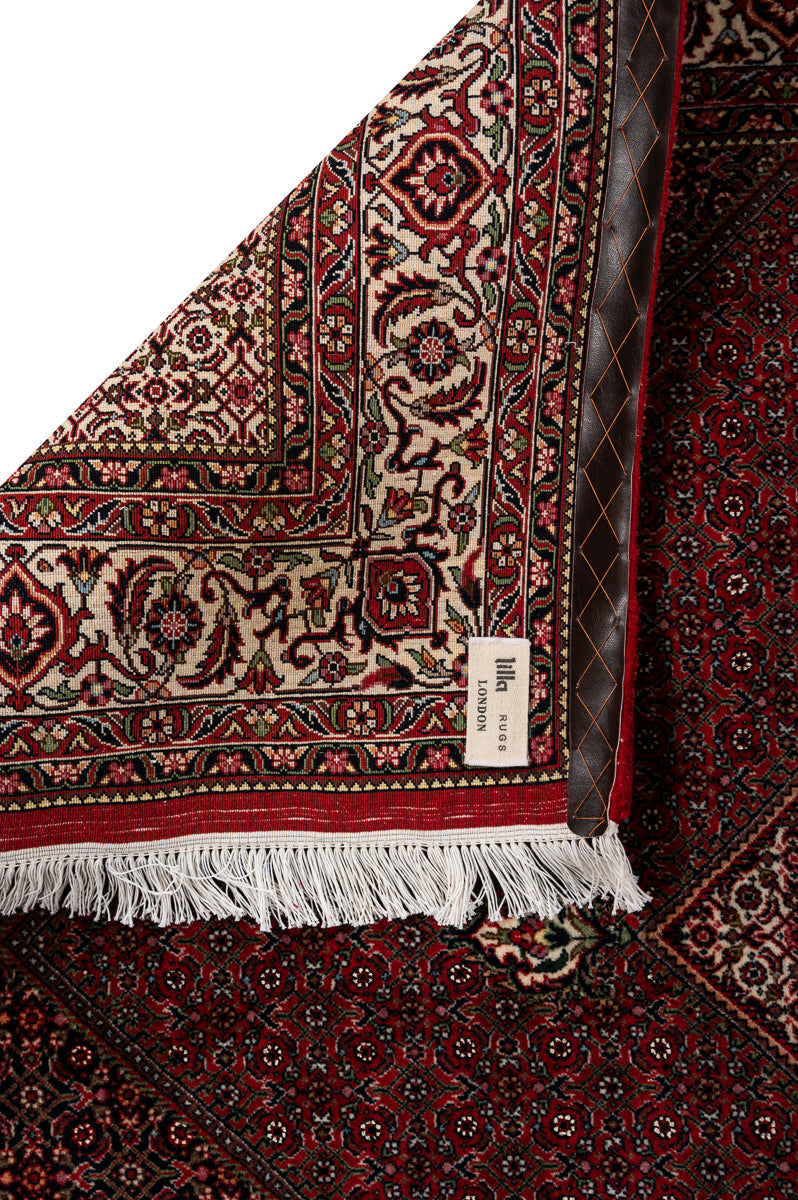 IVY 2  Bidjar 225x154cm