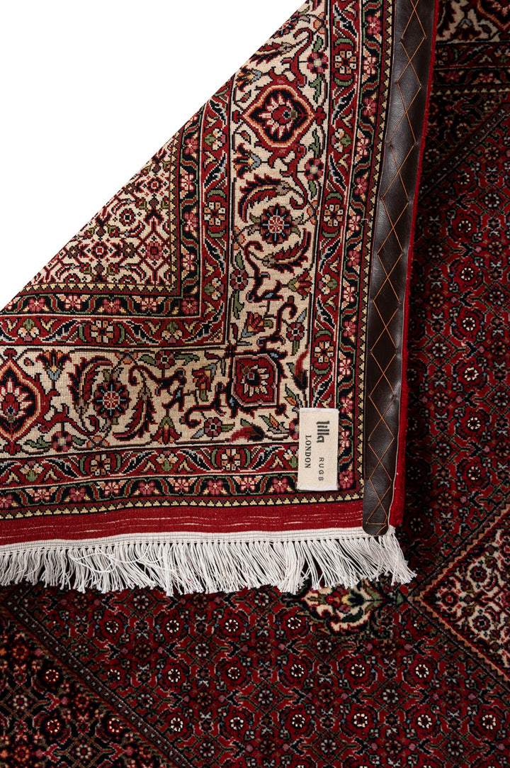 IVY 2  Bidjar 225x154cm