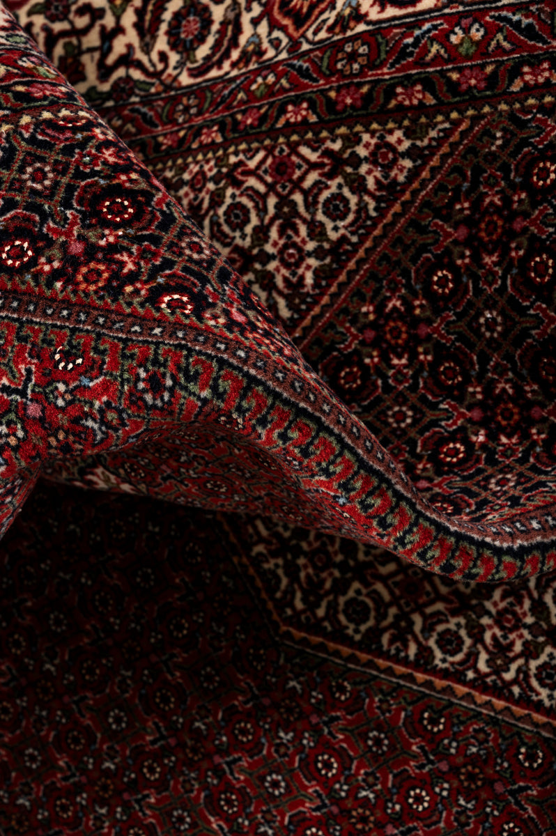 IVY 2  Bidjar 225x154cm