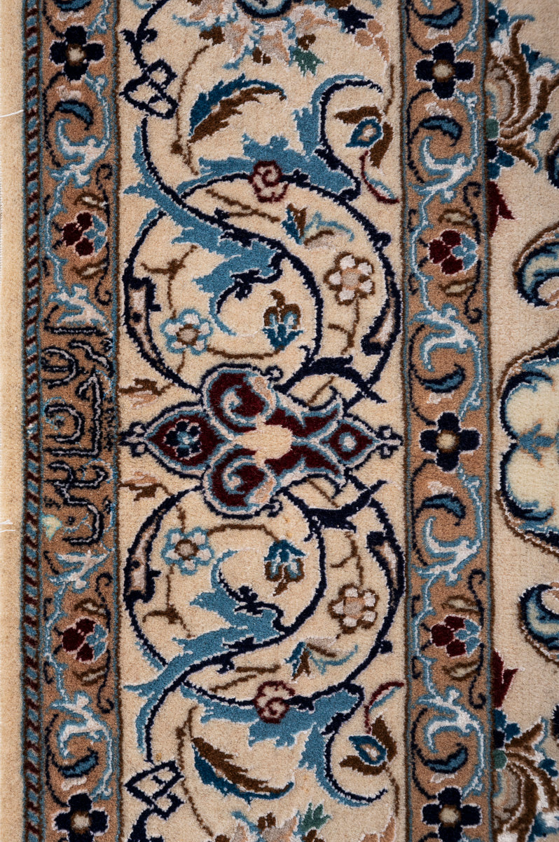 CLEO Nain 6La 195x128cm