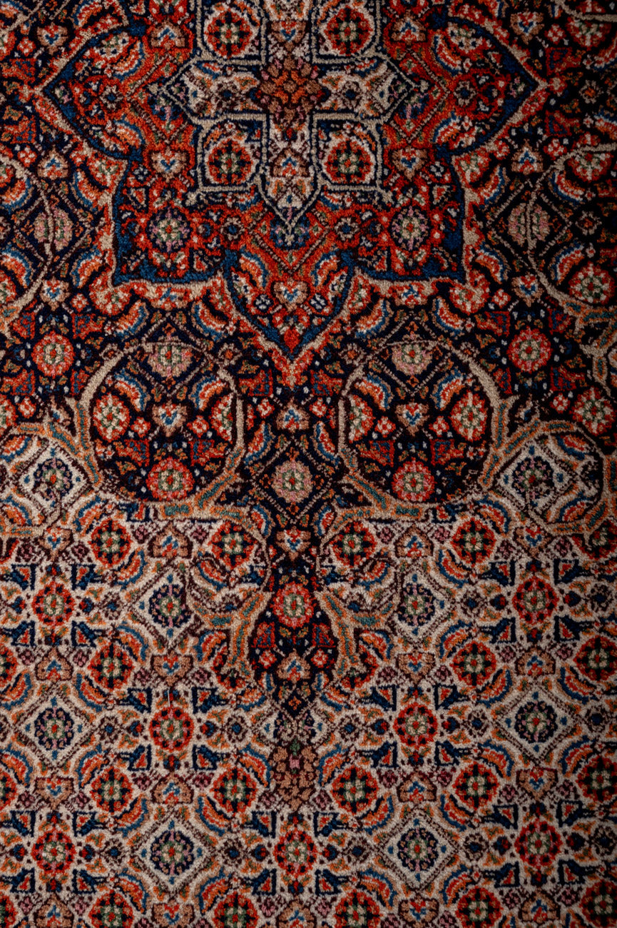 ROXIE Persian Moud 310x220cm