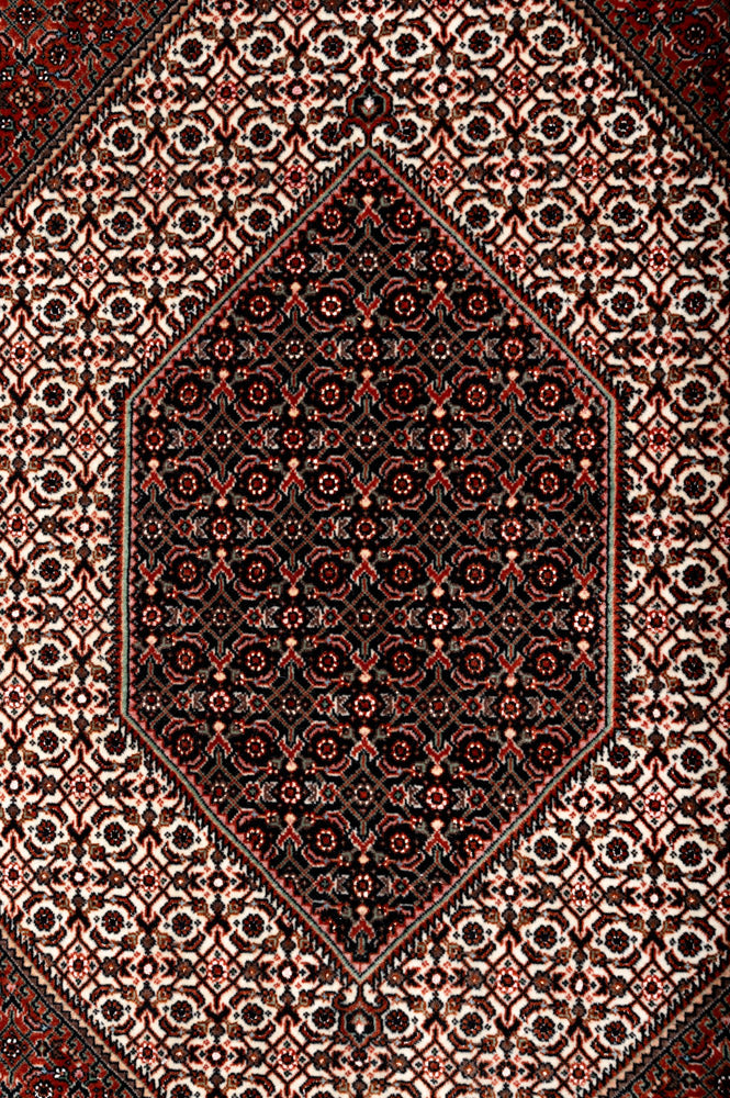 JESSE Persian Bidjar 244x171cm