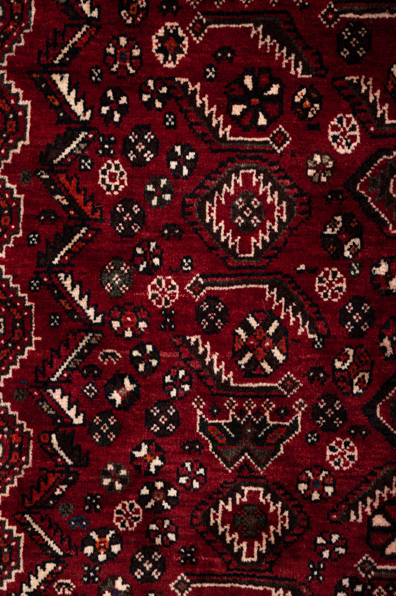BEAU Qashqai 243x179cm