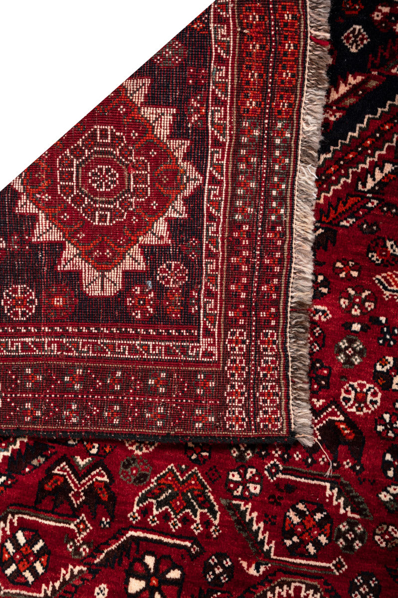 BEAU Qashqai 243x179cm