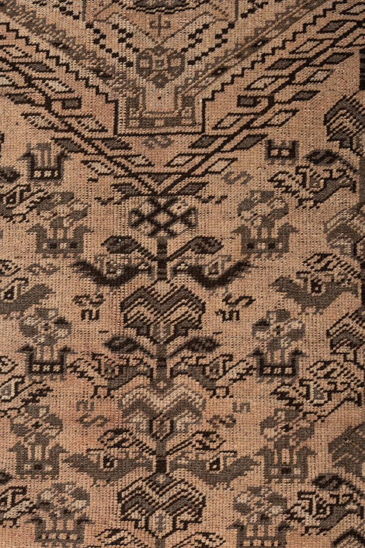 ACSAH Vintage Distressed Qashqai 296x207cm