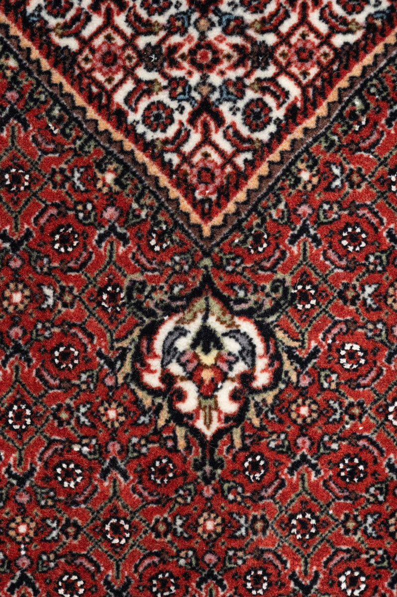 NOVA Bidjar 243x172cm