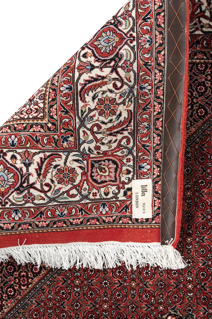 NOVA Bidjar 243x172cm