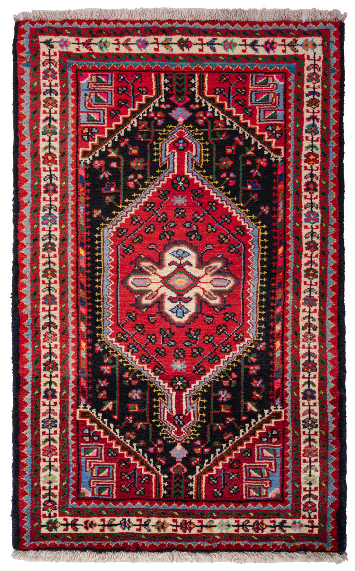 AARO Persian Tuyserkan 237x140cm