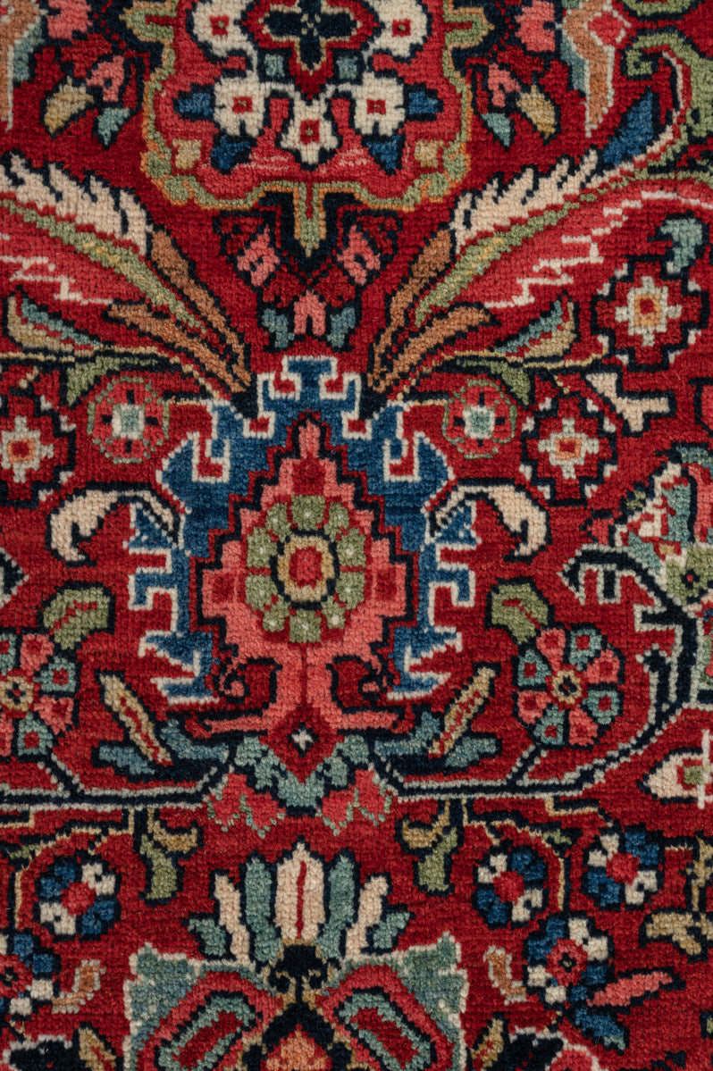 EVELYN Vintage Persian Meshke Abad 510x355cm