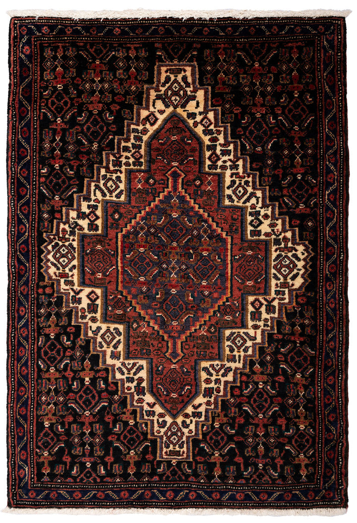TAINI Persian Senneh 100x70cm