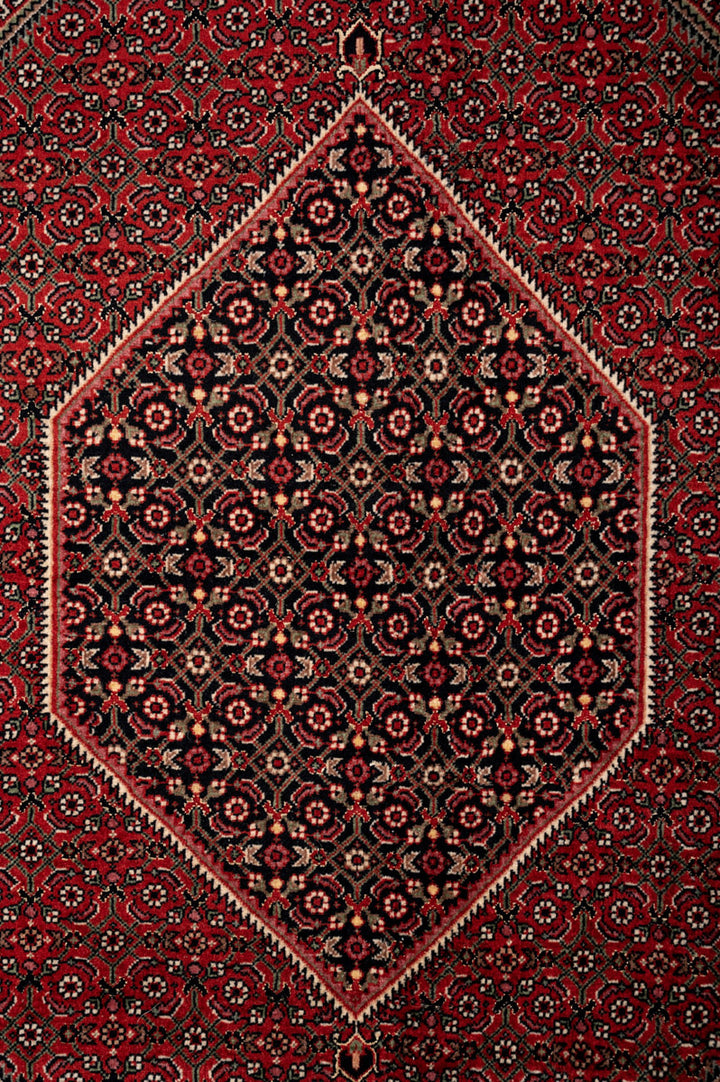 KATE Persian Bidjar 305x207cm