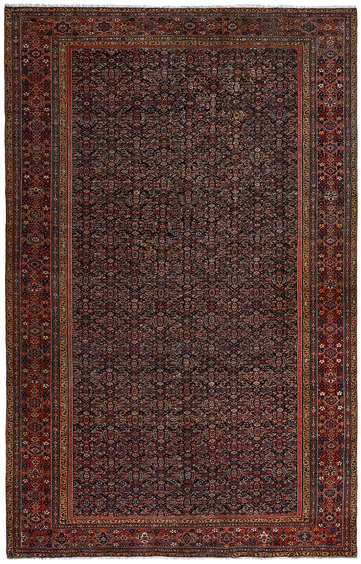 AINSLEE Antiker persischer Farahan 535x355cm