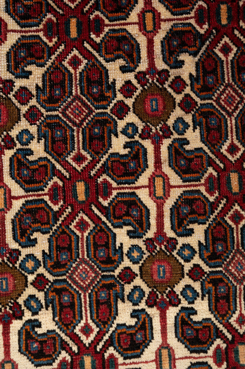 LEXI Vintage Persian Senneh 158x125cm