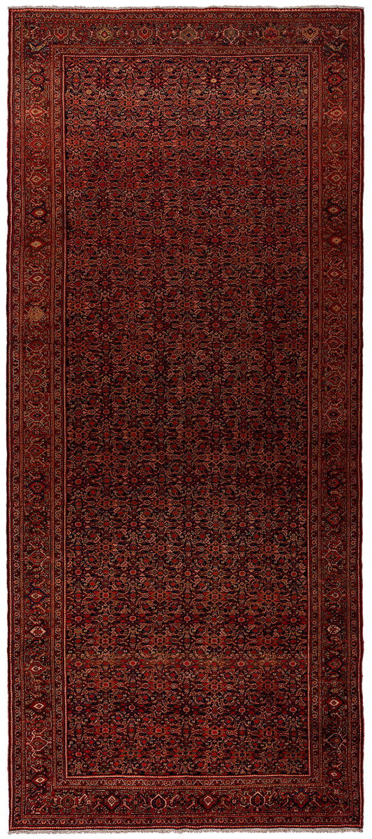 CALIA Antikes persisches Farahan 502x247cm