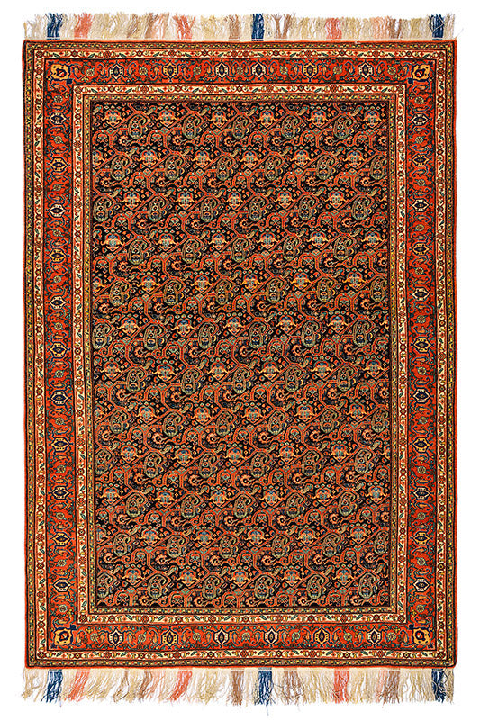Lilla Rugs SAFFRON Persian Senneh 212x154cm